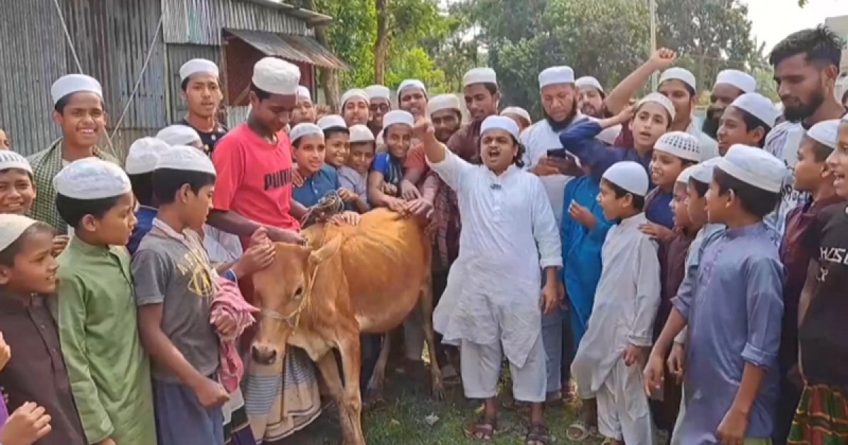আ.লীগকে নিষিদ্ধ করায় গরু ‘কোরবানি’ করলেন রফিকুল ইসলাম মাদানী