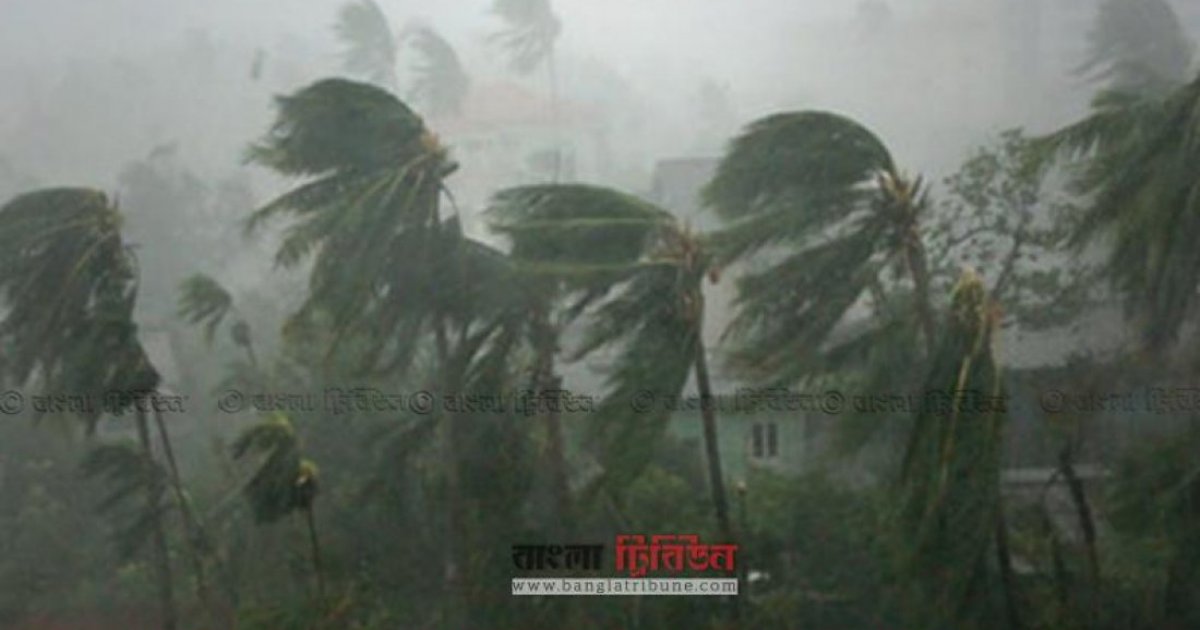 কালবৈশাখী ঝড়ে গাছ পড়ে দুই জনের মৃত্যু