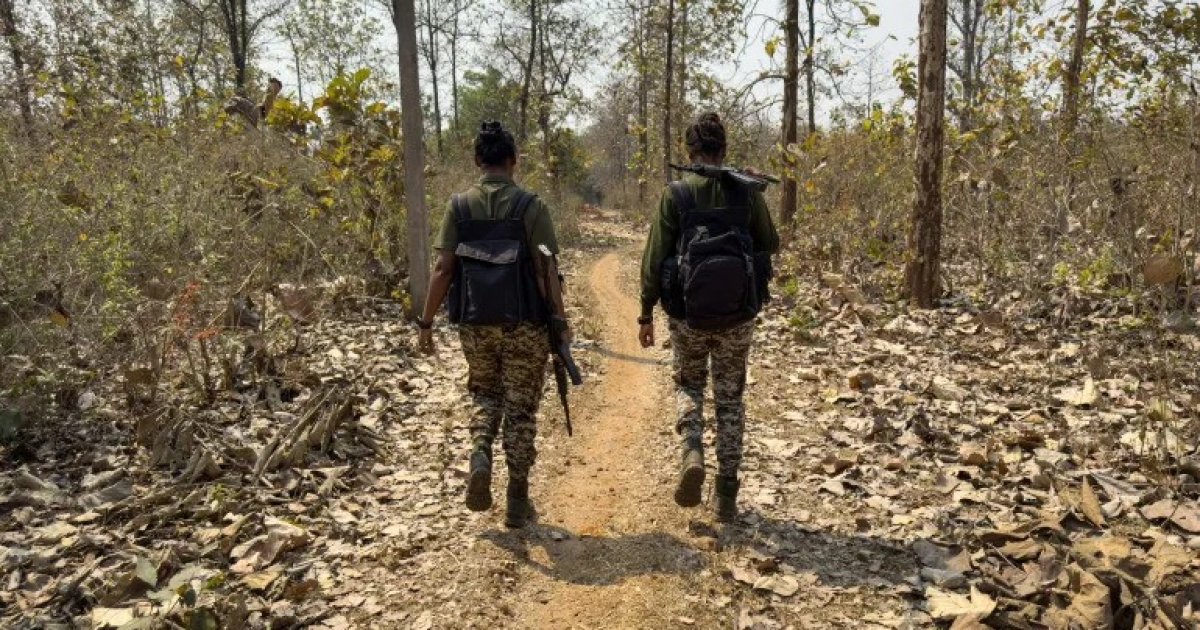 ২১ দিনের অভিযানে ৩১ মাওবাদীকে হত্যার দাবি ভারতের