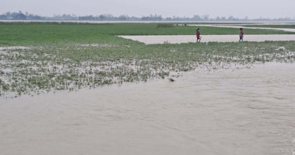 তিস্তার নিচু চর প্লাবিত, আগামী পাঁচ দিন বাড়তে পারে কুড়িগ্রামের প্রধান নদ-নদীর পানি