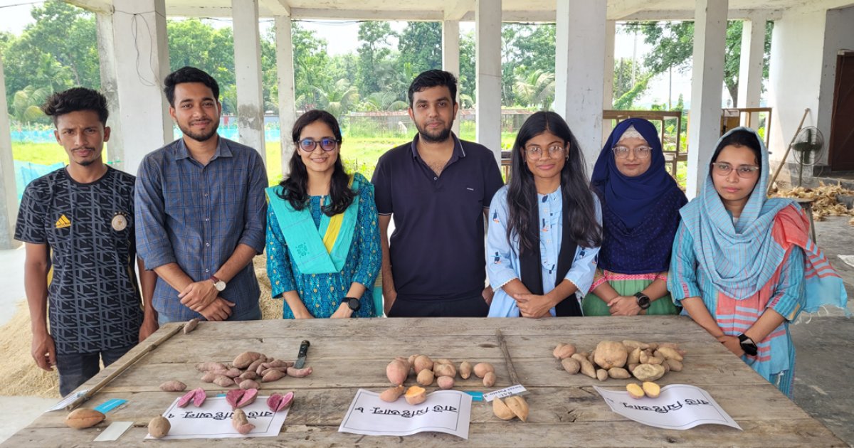 ক্যানসার ও ডায়াবেটিস প্রতিরোধক আলুর তিনটি জাত উদ্ভাবন