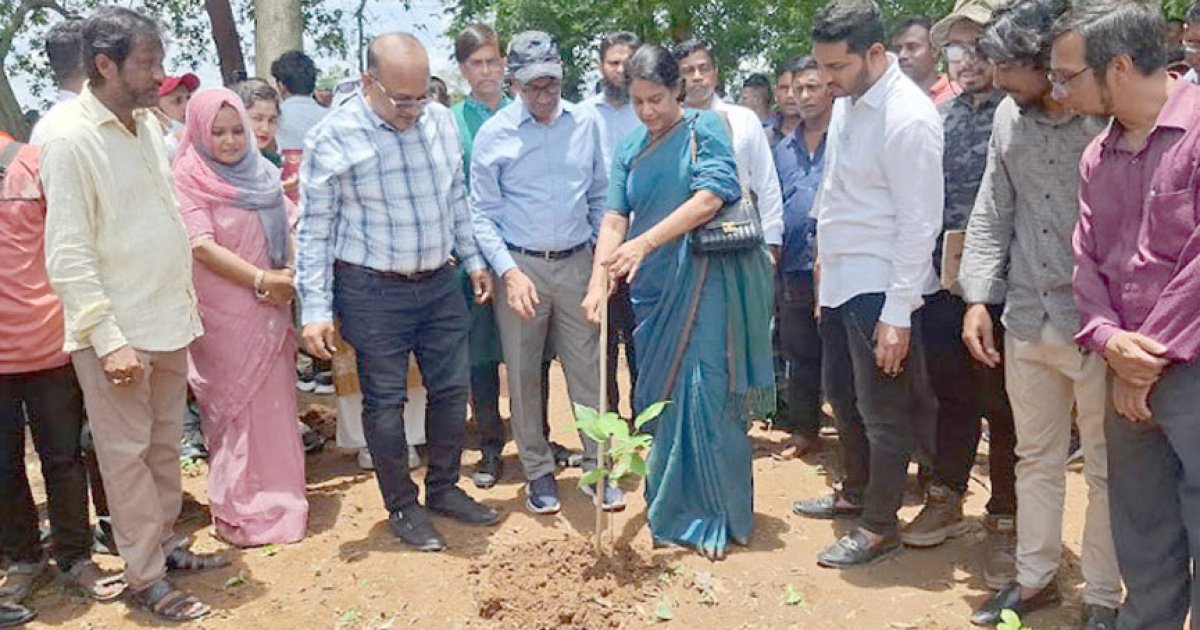 শালবনে আবার শাল গাছ ফেরত আনা হবে: উপদেষ্টা রিজওয়ানা হাসান