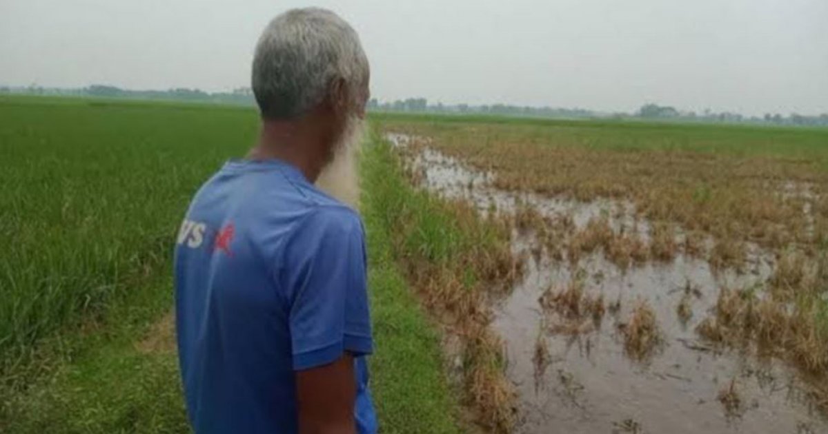 এখনও ক্ষতি কাটিয়ে উঠতে পারেননি গত বন্যায় ক্ষতিগ্রস্তরা