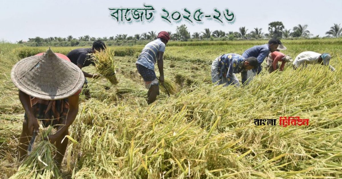 আইএমএফ অসন্তুষ্ট হলেও কৃষিতে ভর্তুকি কমবে না