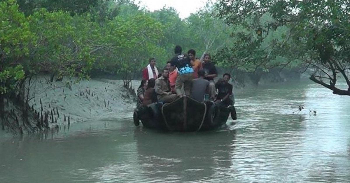 জীববৈচিত্র্য রক্ষায় সুন্দরবনে প্রবেশে ৩ মাসের নিষেধাজ্ঞা