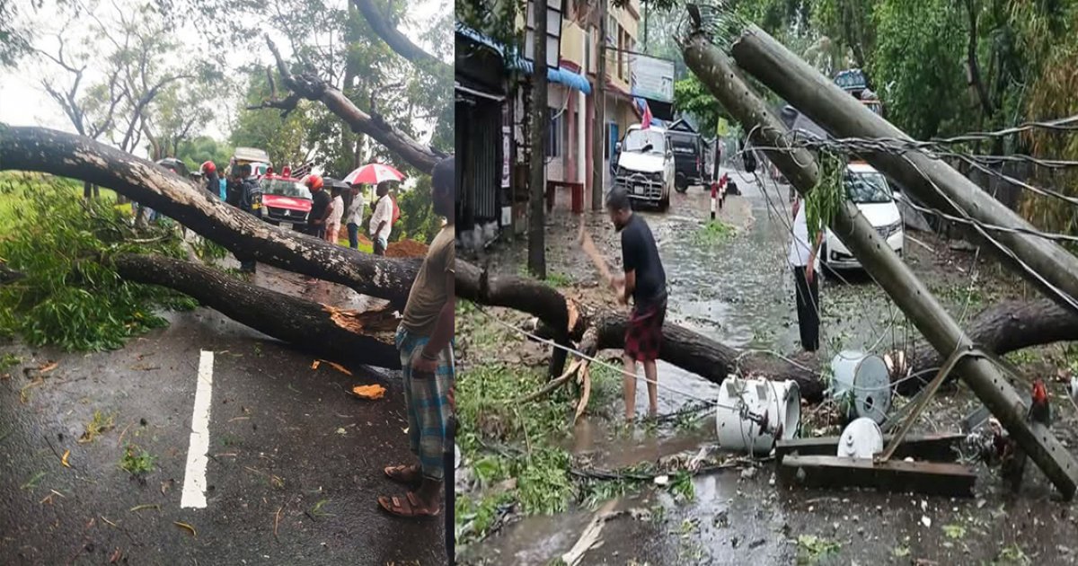 চট্টগ্রামে বিভিন্ন সড়কের উপর ভেঙে পড়েছে গাছ, বৃষ্টিতে নগরীতে জলাবদ্ধতা