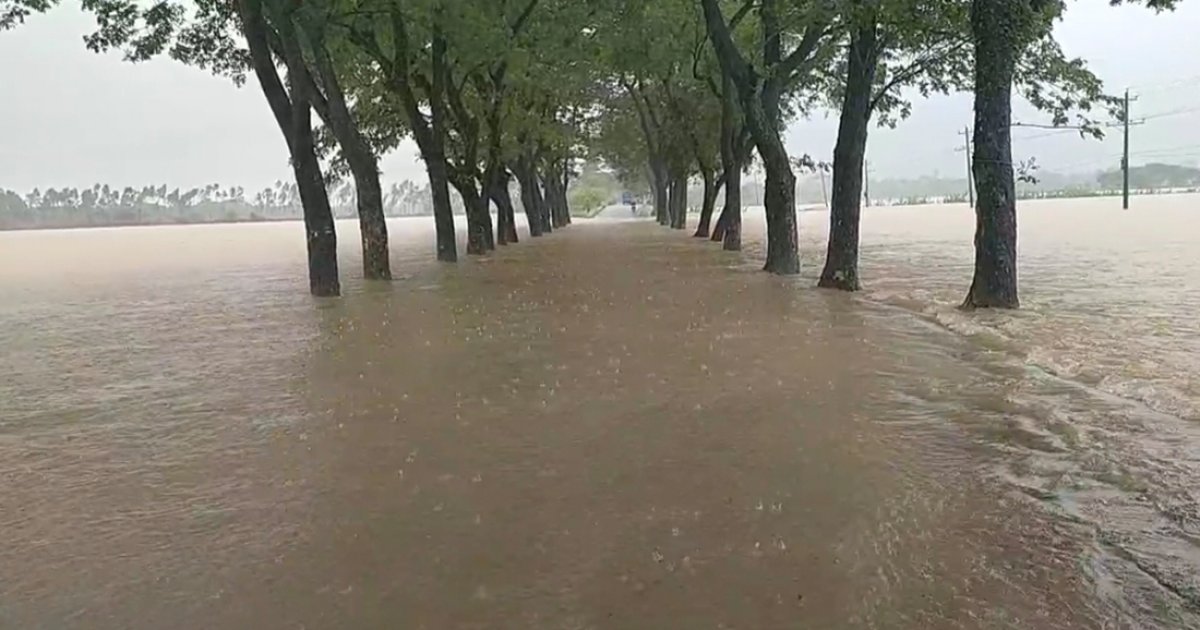 পাহাড়ি ঢল আর বৃষ্টিতে সিলেটে বন্যার শঙ্কা