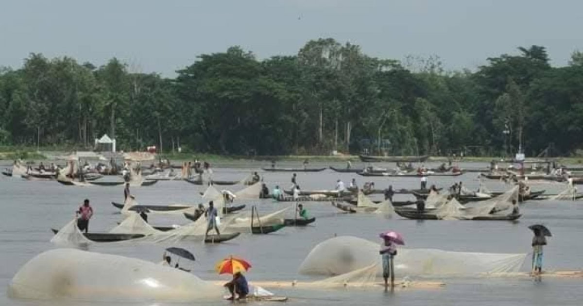 হালদা নদী থেকে ১৪ হাজার কেজি ডিম সংগ্রহ