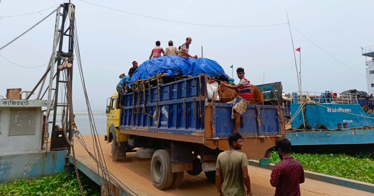 সরাসরি ফেরিতে উঠছে গরুবোঝাই ট্রাক