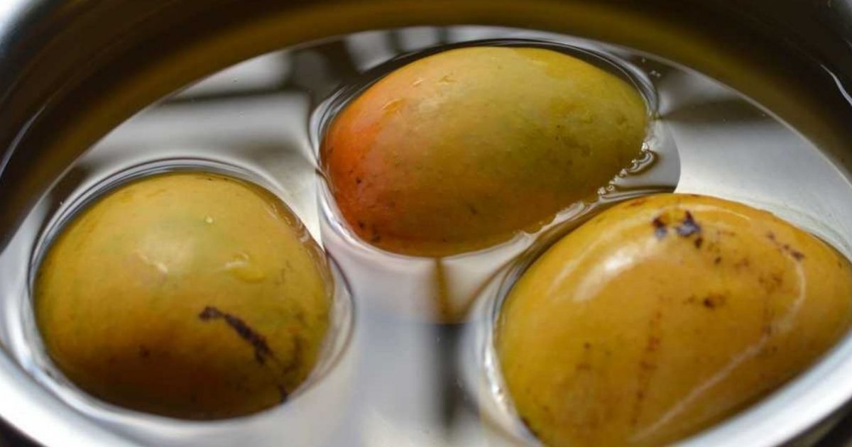 এই ৪ কারণে খাওয়ার আগে আম ভিজিয়ে রাখবেন