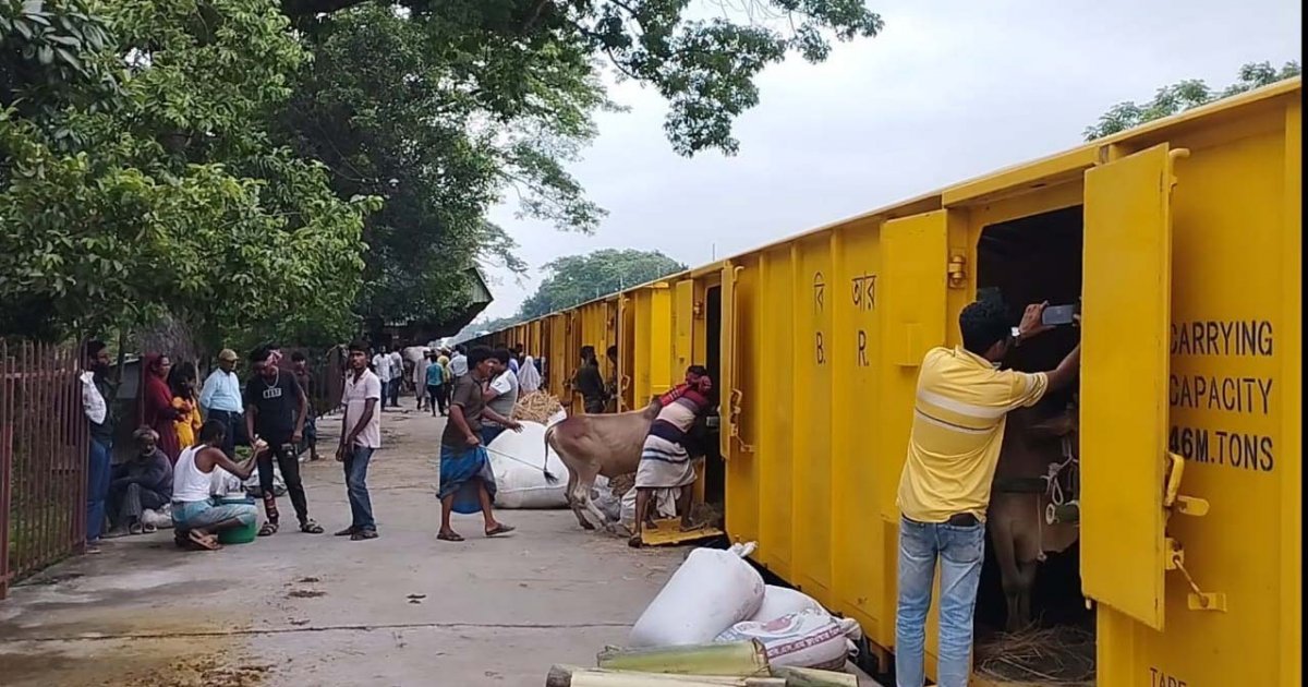 জামালপুর থেকে ৪শ গরু নিয়ে ঢাকায় গেলো ক্যাটল স্পেশাল-১ ট্রেন