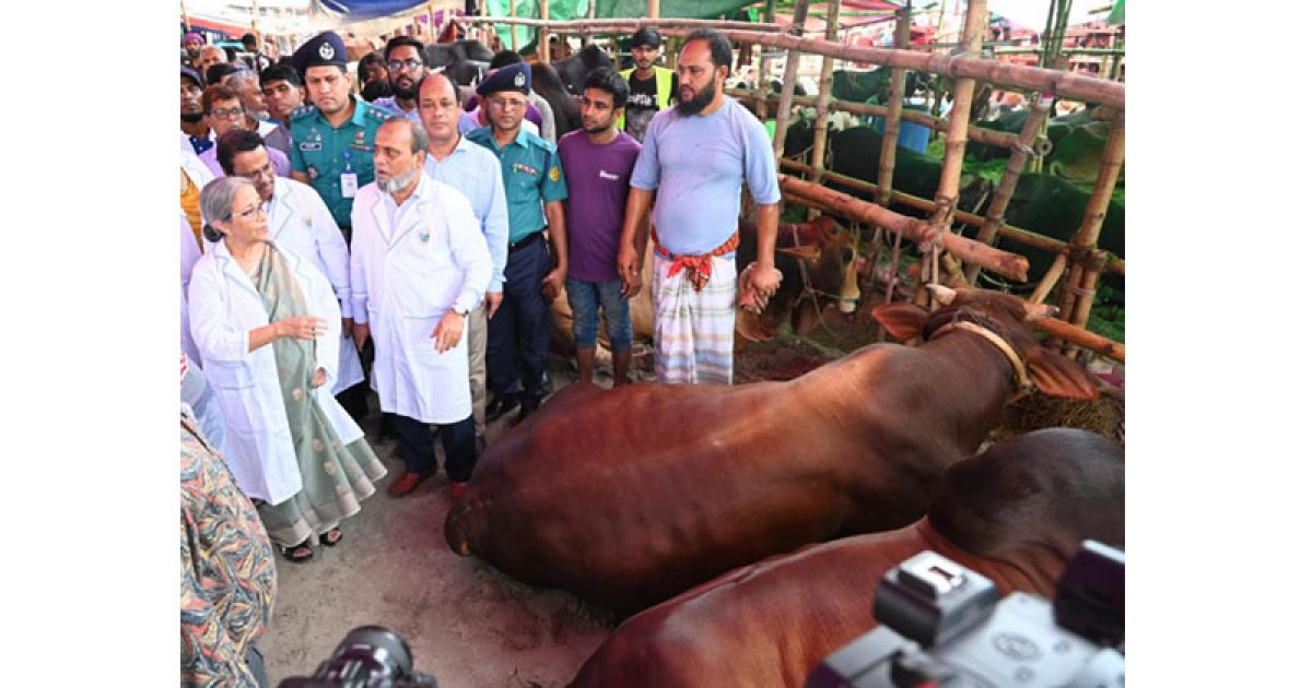 কোরবানির জন্য দেশে পর্যাপ্ত পশু মজুদ রয়েছে: প্রাণিসম্পদ উপদেষ্টা