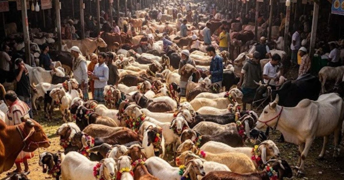 ব্রিটেনে বেশিরভাগ প্রবাসী বাঙালি কোরবানি দেন দাতব্য সংস্থার মাধ্যমে