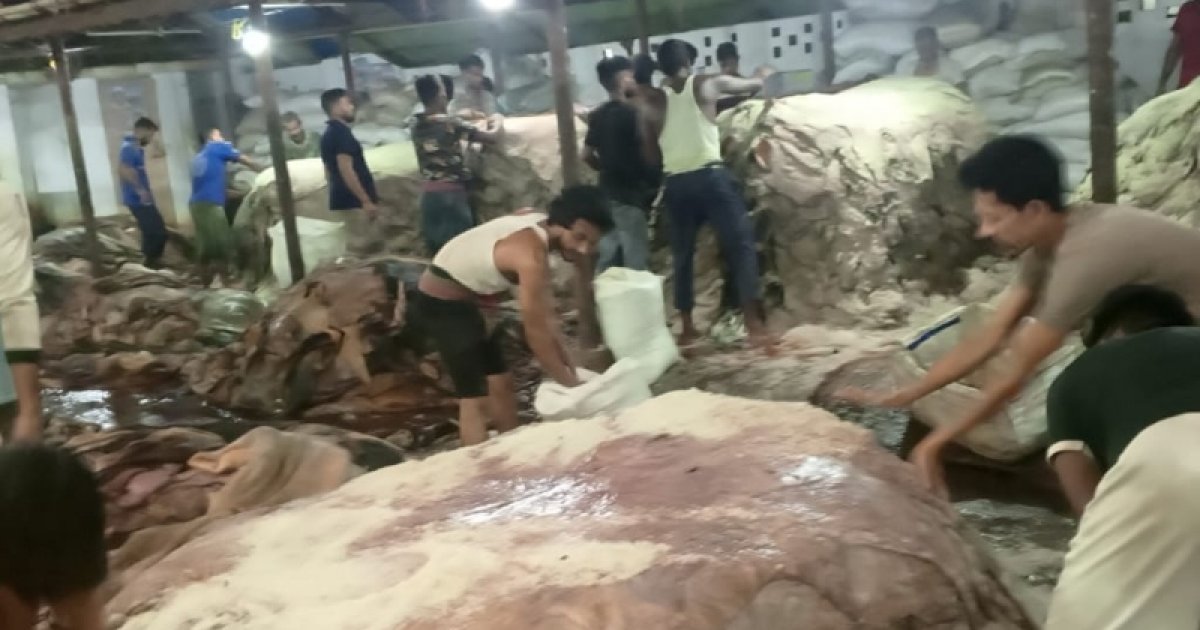 চট্টগ্রামে চামড়া কিনে লোকসানে মৌসুমি ব্যবসায়ীরা