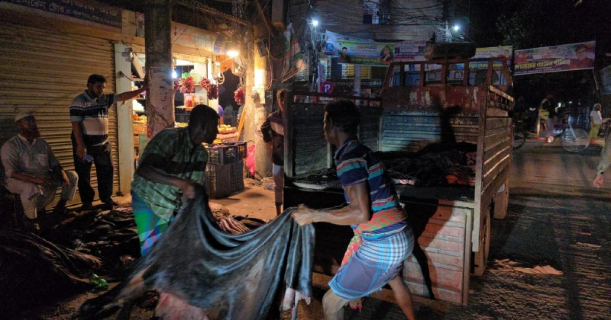 ব্রাহ্মণবাড়িয়ার মৌসুমি চামড়া ব্যবসায়ীদের মাথায় হাত