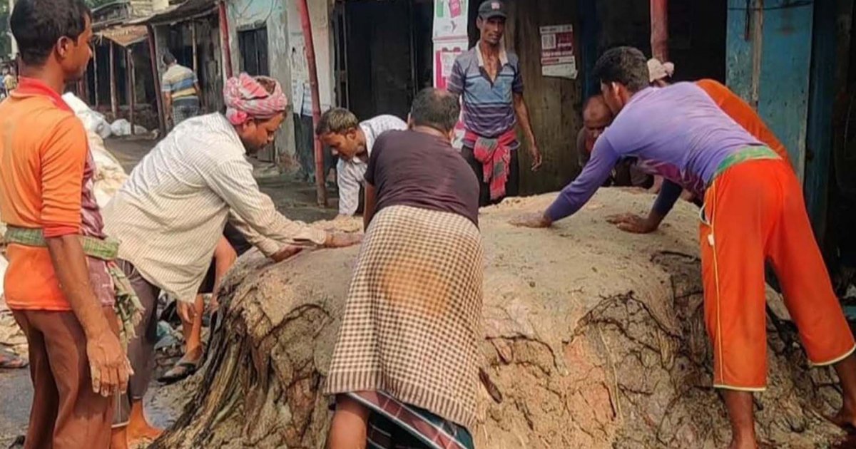 নির্ধারিত দামের অর্ধেকে চামড়া বিক্রি, লোকসানে মৌসুমি ব্যবসায়ীরা