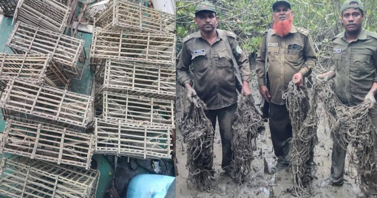 সুন্দরবন থেকে হরিণ শিকারের ৬০০ ফাঁদ জব্দ