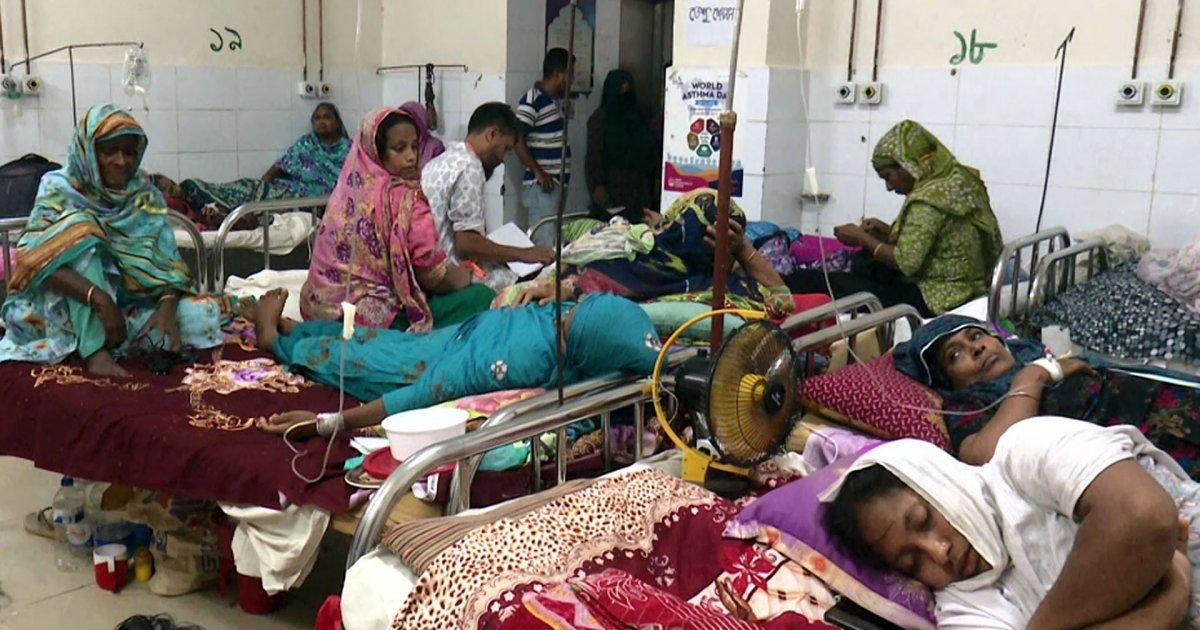 বরিশাল বিভাগে ডেঙ্গু রোগী বেশি, বরগুনায় চিকিৎসা দিতে হিমশিম