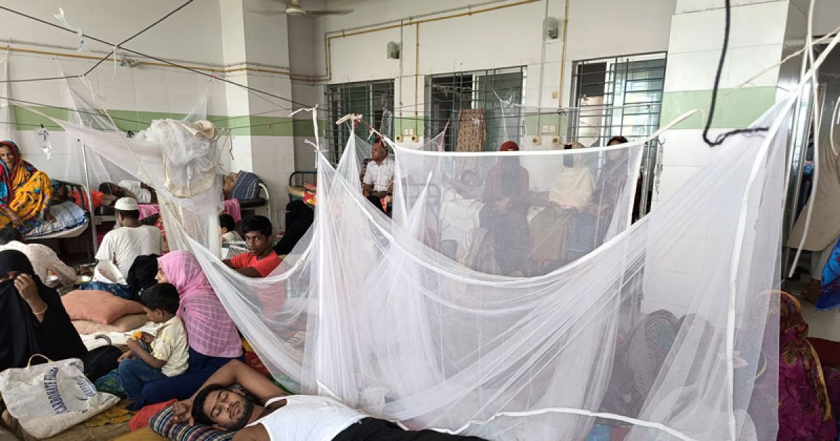 বরগুনায় একদিনে ডেঙ্গু আক্রান্ত ৯৩ রোগী হাসপাতালে ভর্তি