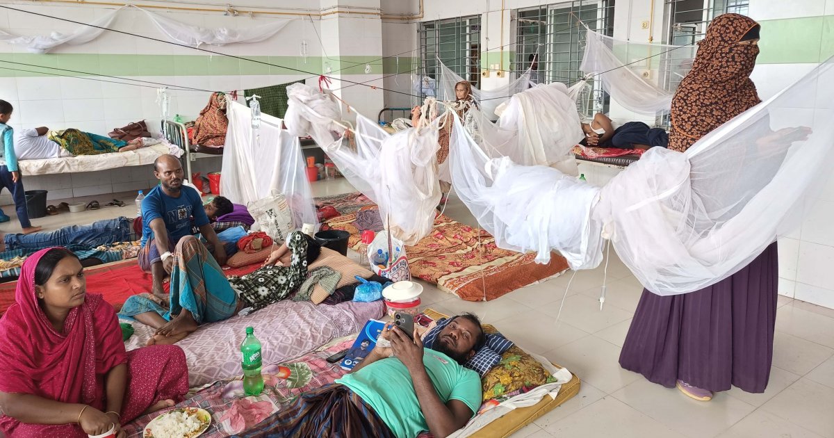 বরগুনায় ডেঙ্গুতে আরও ২ জনের মৃত্যু