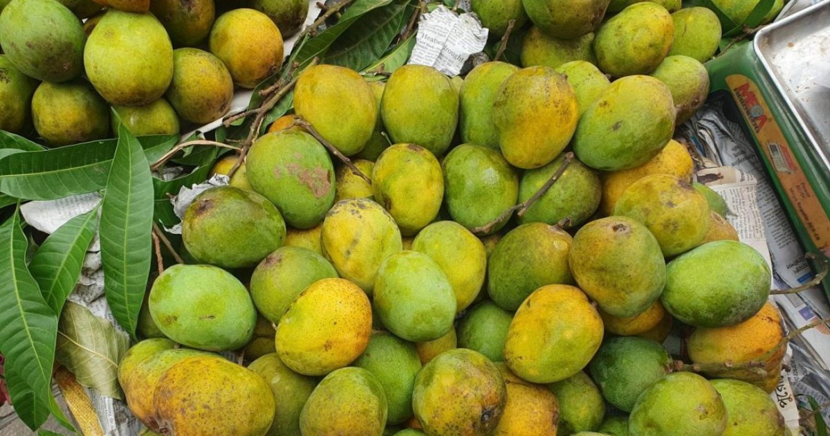 আম খাওয়া নিয়ে বহুল প্রচলিত তিন প্রশ্নের সঠিক উত্তর জেনে নিন
