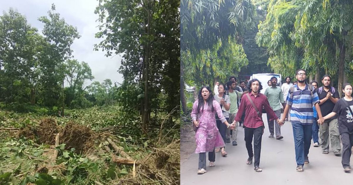 জাহাঙ্গীরনগর বিশ্ববিদ্যালয়ে কেটে ফেলা হলো অর্ধশতাধিক গাছ, প্রতিবাদে বিক্ষোভ