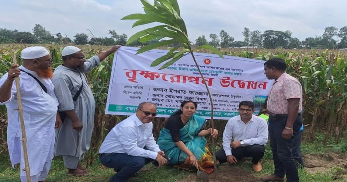 ঠাকুরগাঁওয়ে ৩ দিনব্যাপী বৃক্ষরোপণ কার্যক্রম
