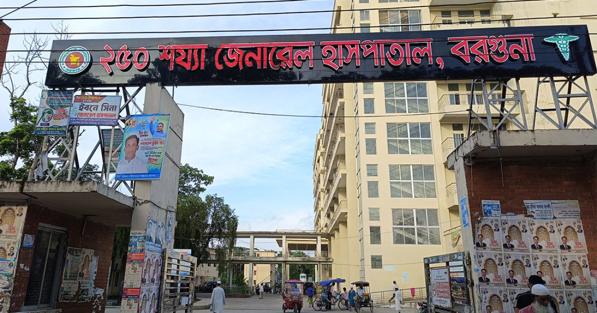 বরগুনায় আবারও ভয়ংকর রূপ নিচ্ছে ডেঙ্গু, একদিনে আক্রান্ত ১০২