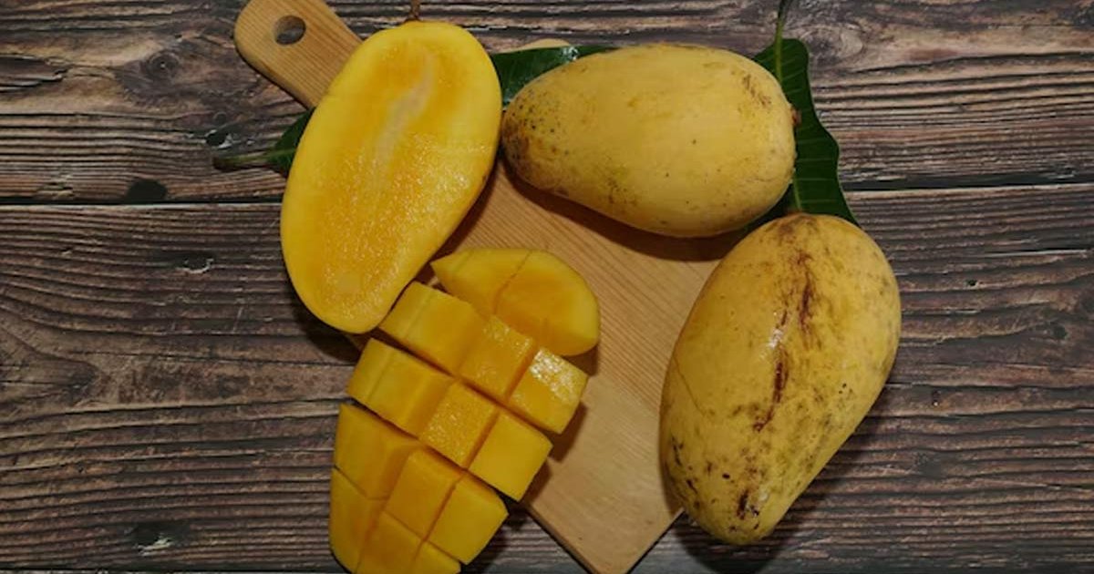 ত্বকের যত্নে পাকা আম ব্যবহারের উপায় জেনে নিন