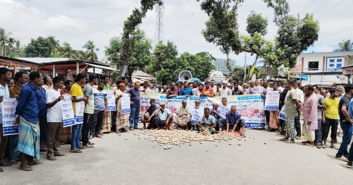 আলু চাষিদের আন্দোলনের মুখে হিমাগারের ভাড়া কমানোর সিদ্ধান্ত