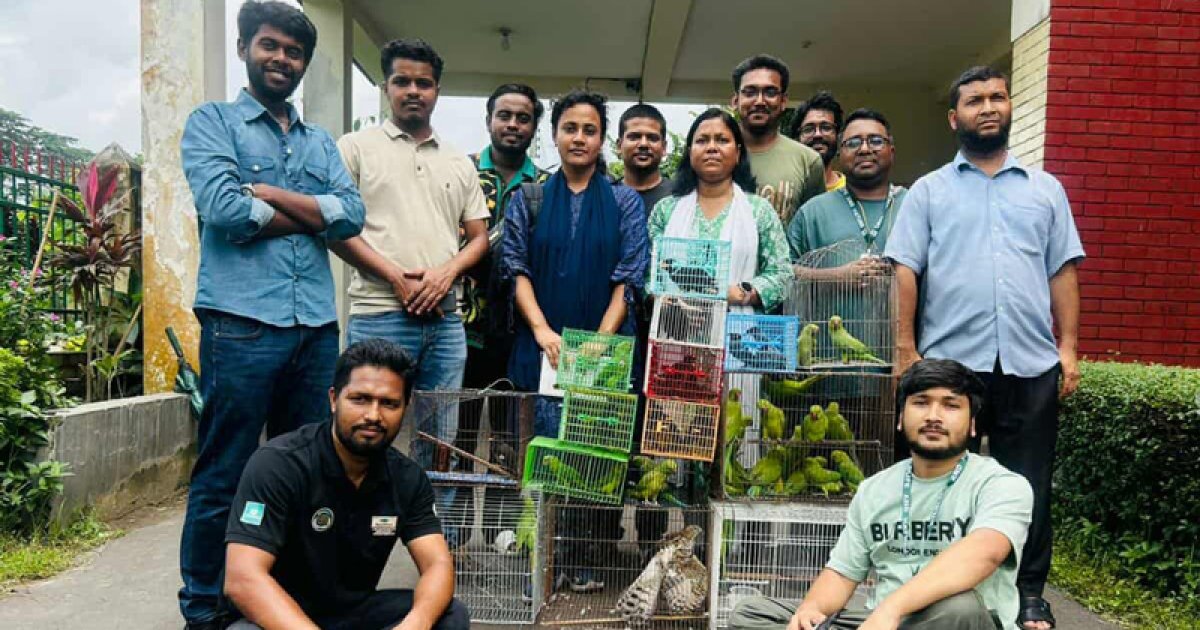 মিরপুরের পাখির দোকান থেকে ৫০টি দেশীয় বন্যপ্রাণী উদ্ধার
