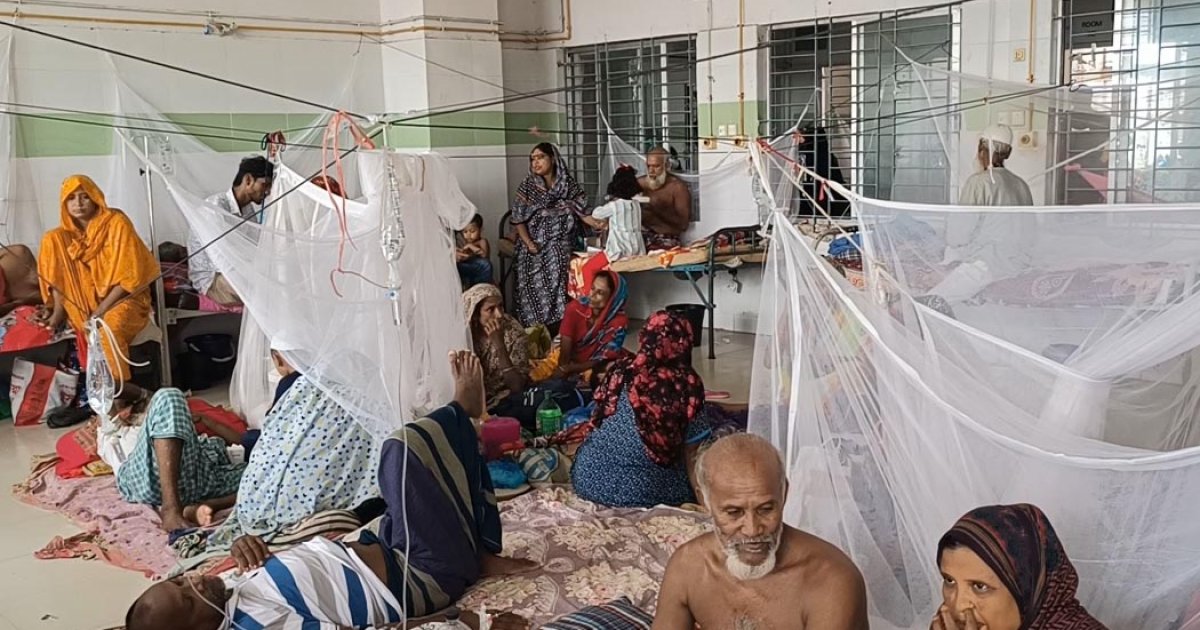 বরগুনায় ডেঙ্গুতে আক্রান্ত আরও একজনের মৃত্যু, নতুন আক্রান্ত ৫১