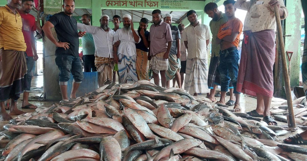 বঙ্গোপসাগরে এক জেলের জালে ধরা পড়েছে ৩৩ লাখ টাকার ইলিশ