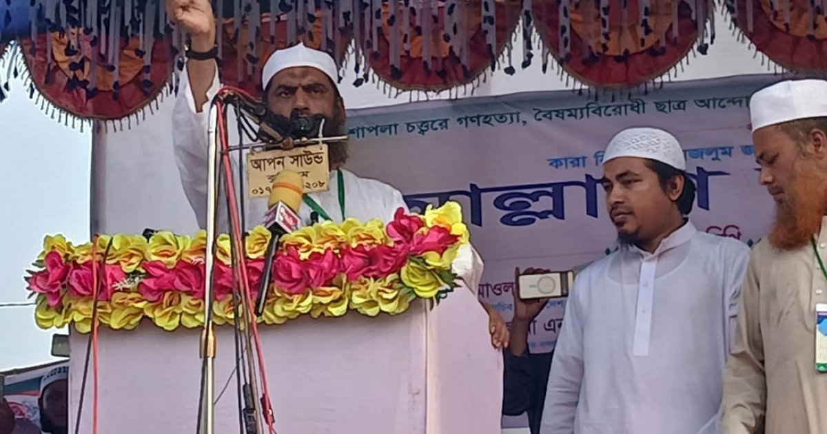 এই সরকার নতুন ষড়যন্ত্রের পাতা ফাঁদে পা দিয়েছে: মামুনুল হক