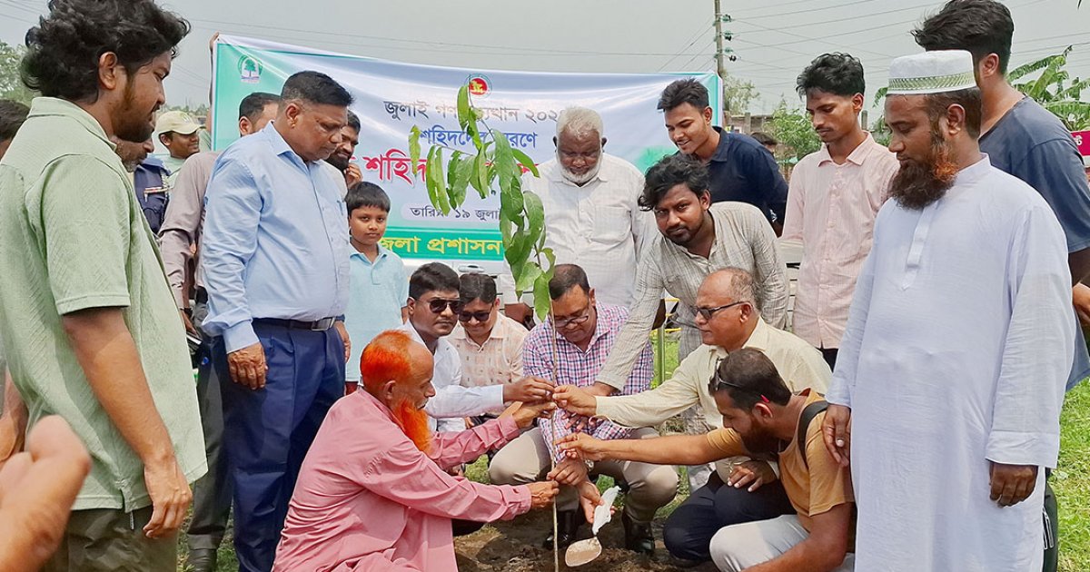 নওগাঁয় ‘এক শহীদ, এক বৃক্ষ’ রোপণ কর্মসূচি