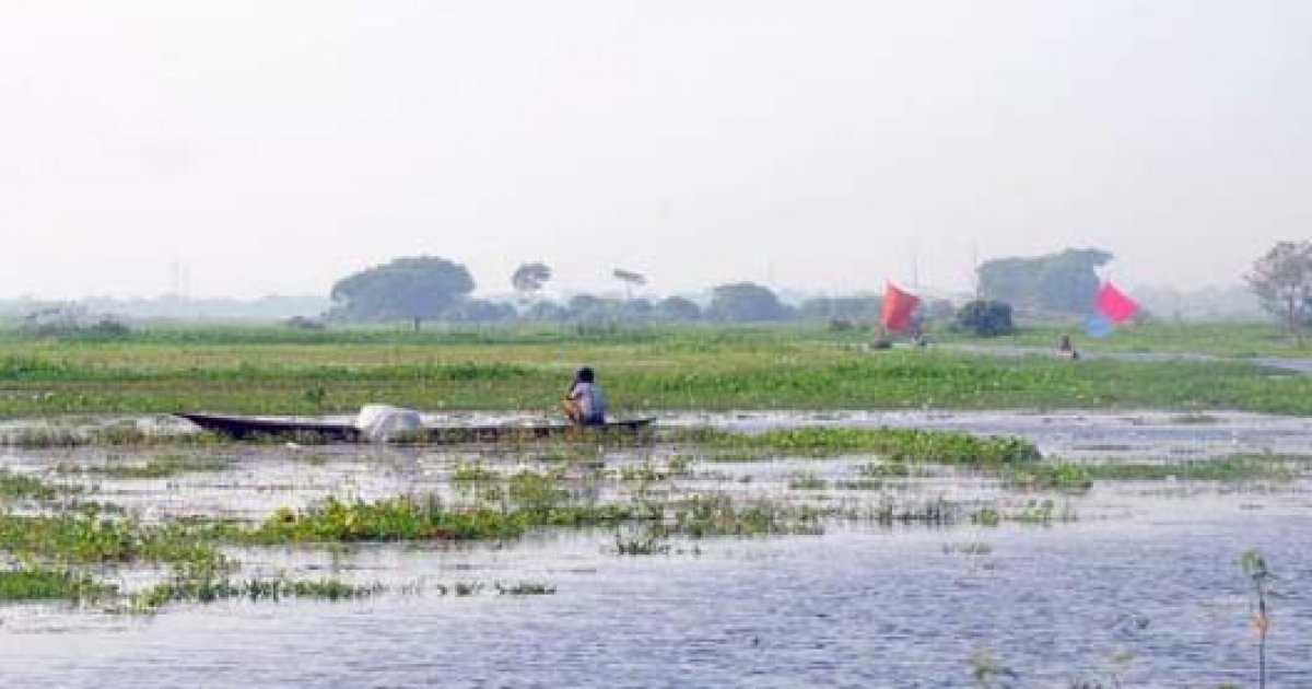 বিলে বেড়াতে গিয়ে নৌকা ডুবে ৩ বন্ধু নিখোঁজ