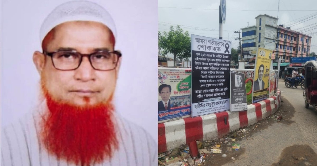 ‘কালকে ভদ্রলোকের মতো পোস্টার লাগাবেন’, ইউএনওকে বিএনপি নেতা