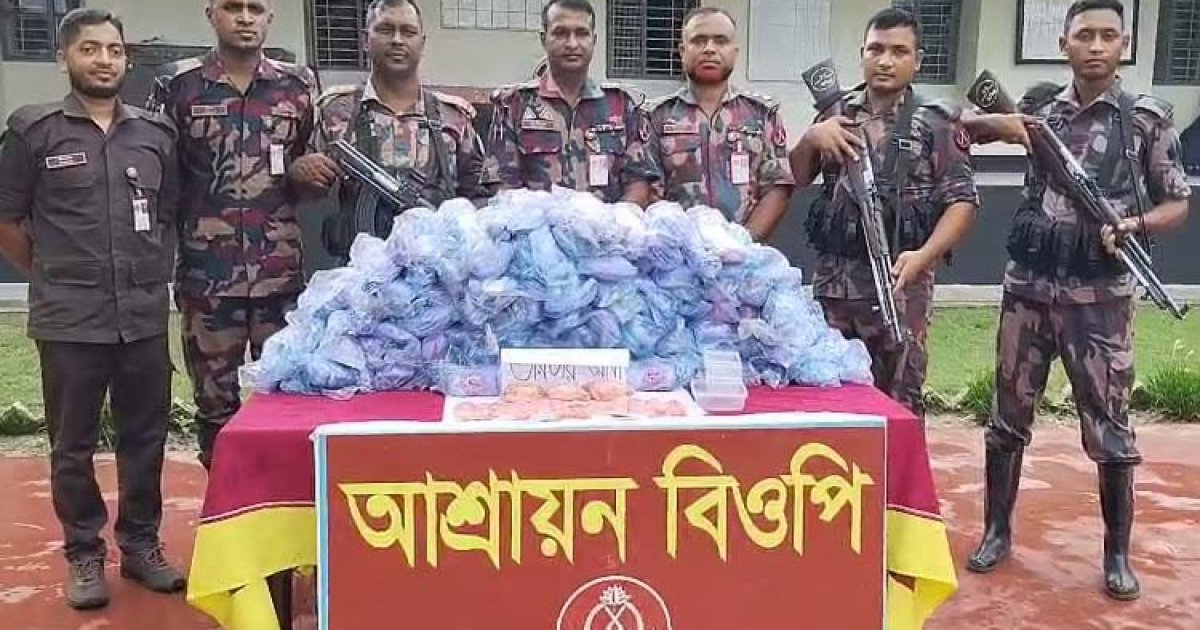সীমান্তে অভিযানে মাদক-কারেন্ট জাল-আতশবাজি জব্দ