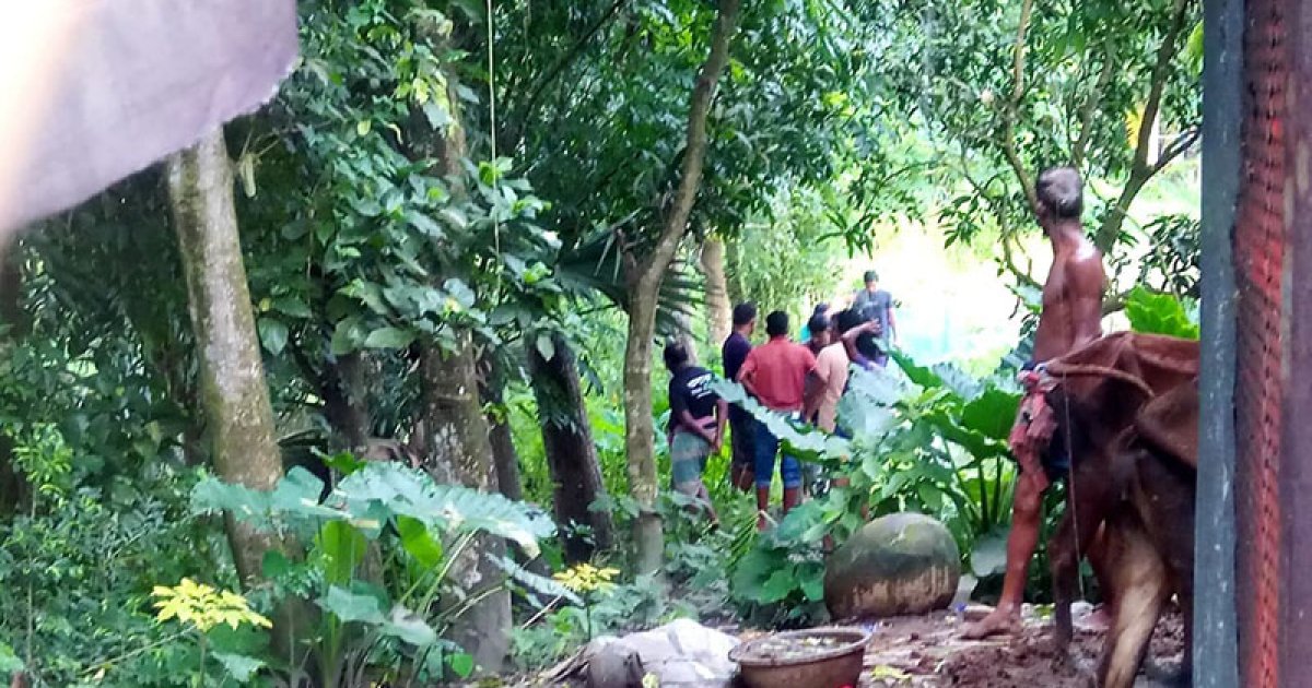 ফরিদপুরে দুই পক্ষের সংঘর্ষে আহত ২০