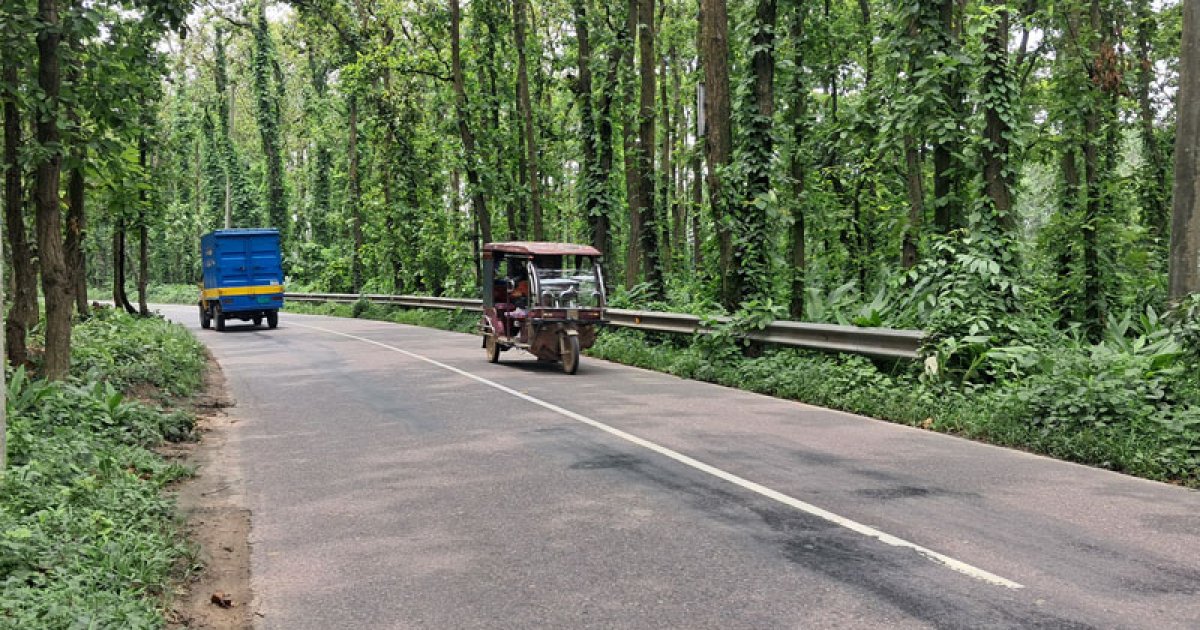 দিনে সড়ক দুর্ঘটনা, রাতে ডাকাত আতঙ্ক