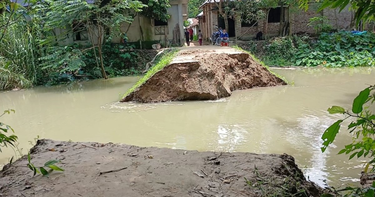 নওগাঁয় বেড়িবাঁধ ভেঙে লোকালয়ে ঢুকছে পানি