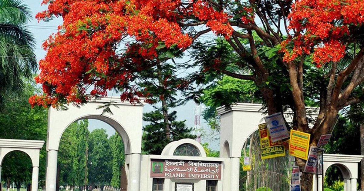 জুলাই আন্দোলনে বিরোধিতা: ইসলামী বিশ্ববিদ্যালয়ের ১৯ শিক্ষককে শোকজ