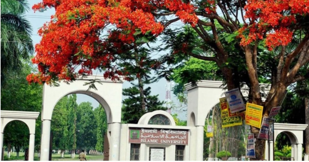 বৈষম্যবিরোধী আন্দোলনের বিপক্ষে অবস্থান, ইসলামী বিশ্ববিদ্যালয়ের ১৯ শিক্ষককে শোকজ