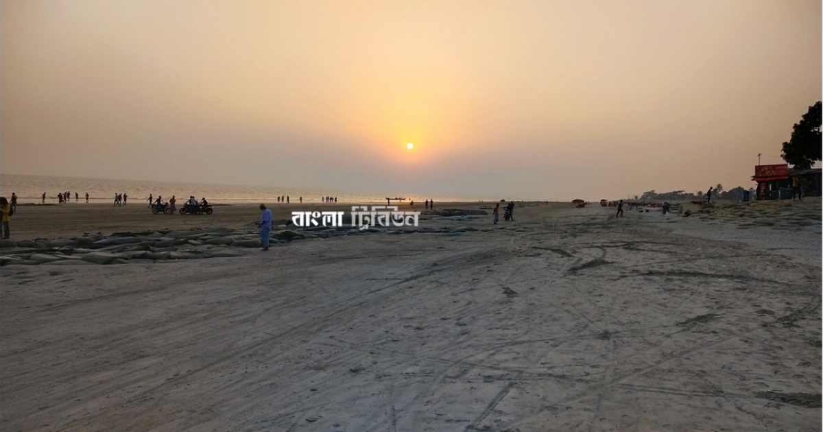 কুয়াকাটা সৈকতে আবারও ভেসে এলো মৃত ইরাবতী ডলফিন