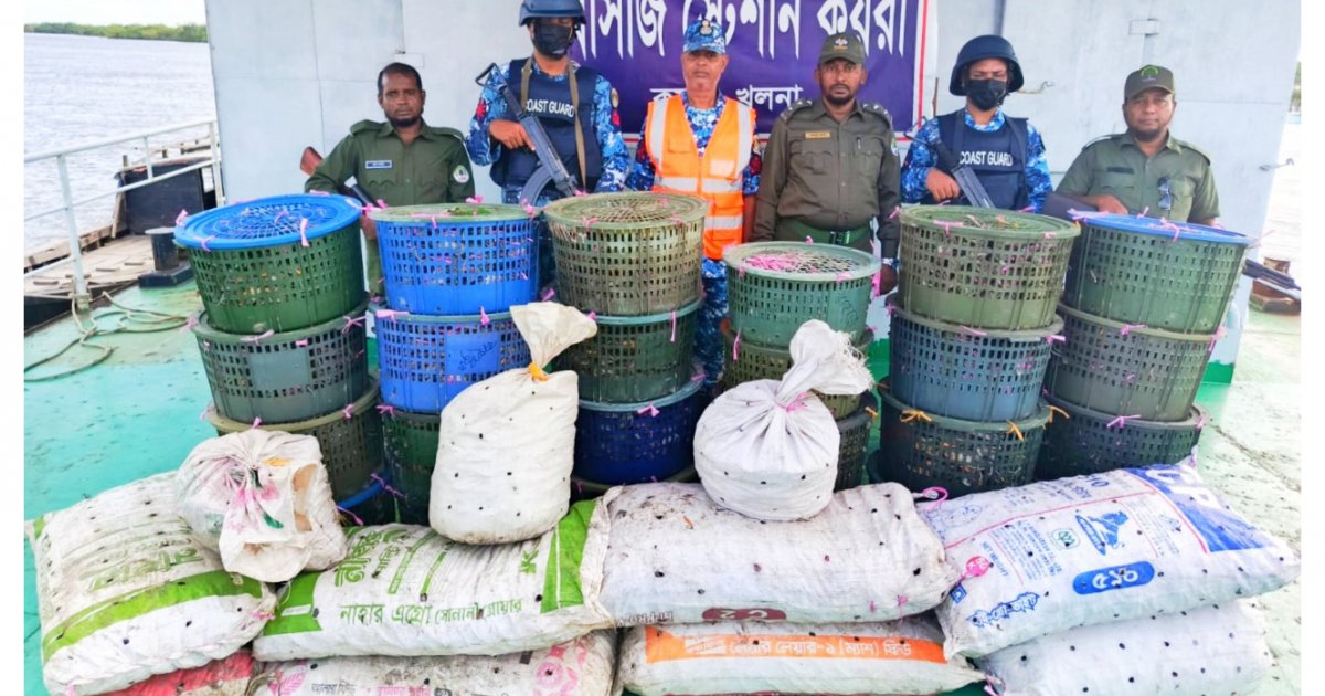 সুন্দরবনসংলগ্ন এলাকা থেকে ৮৫০ কেজি কাকড়া জব্দ