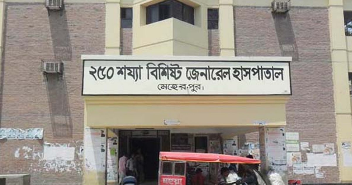 মেহেরপুরে বিএনপির দুই পক্ষের সংঘর্ষে ৬ জন আহত