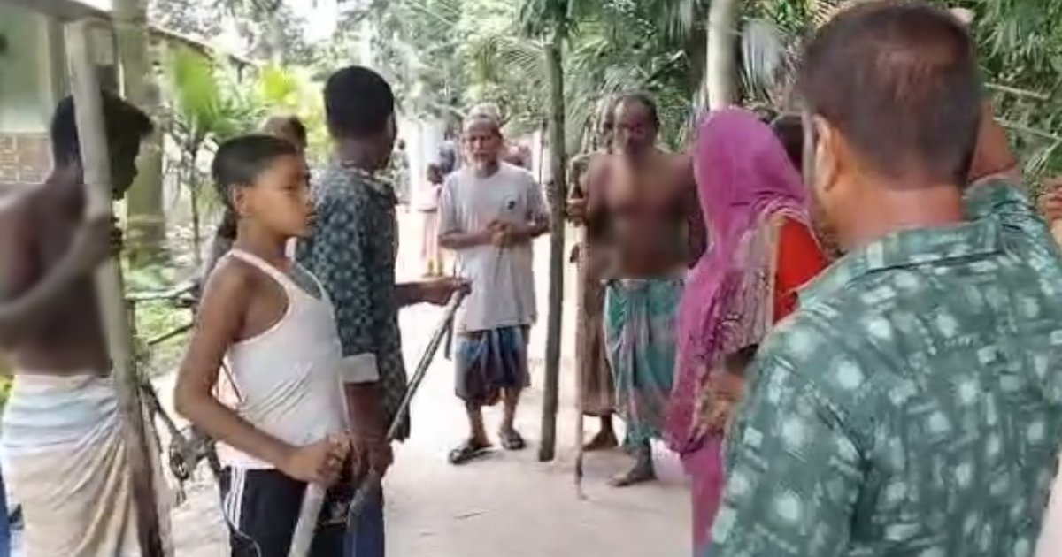 পলাশবাড়ীতে অচেনা প্রাণীর আক্রমণে নারী-শিশুসহ ১৫ জন আহত