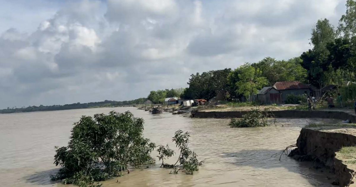 পদ্মার ভাঙনে দিশাহারা হাজারো পরিবার, হারিয়ে যাচ্ছে কয়েক গ্রাম