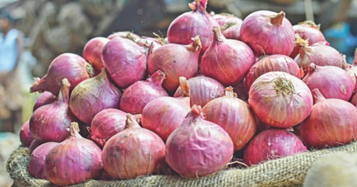 আড়াই বছর পর ভারত থেকে এলো ৬০ টন পেঁয়াজ