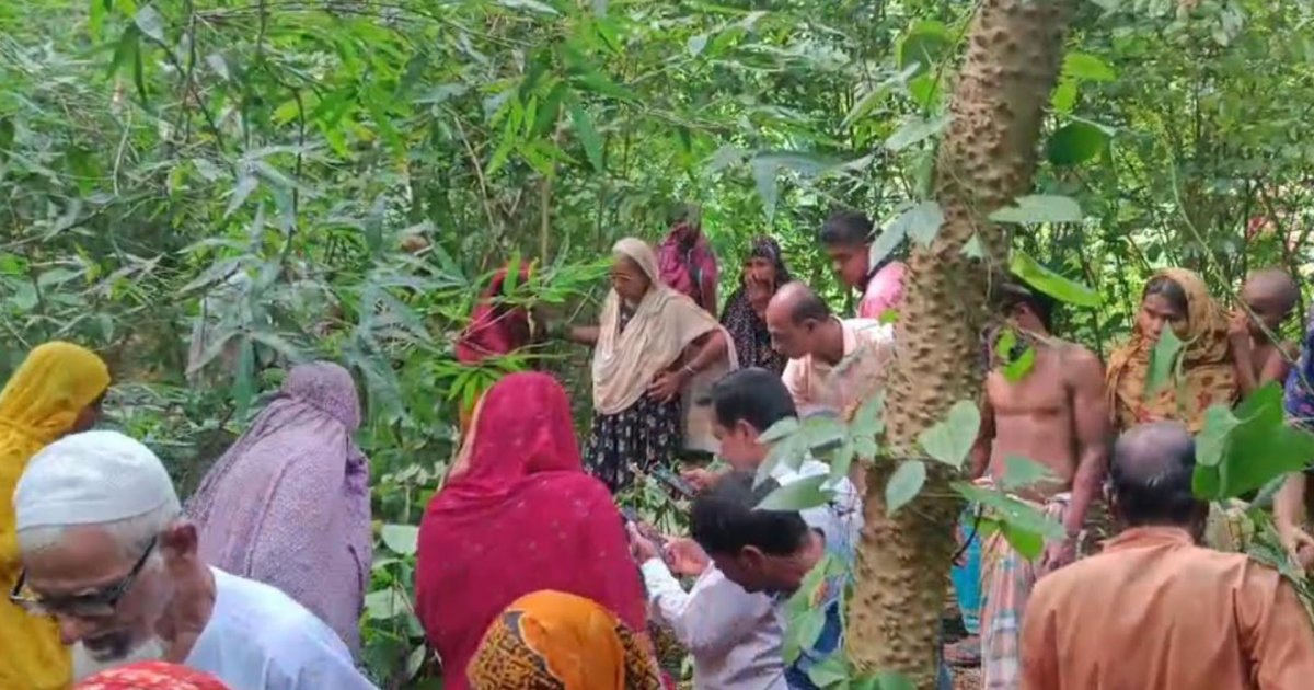 জঙ্গলে পাতায় ঢাকা মায়ের লাশ, তিন ছেলে-পুত্রবধূসহ আটক ৫